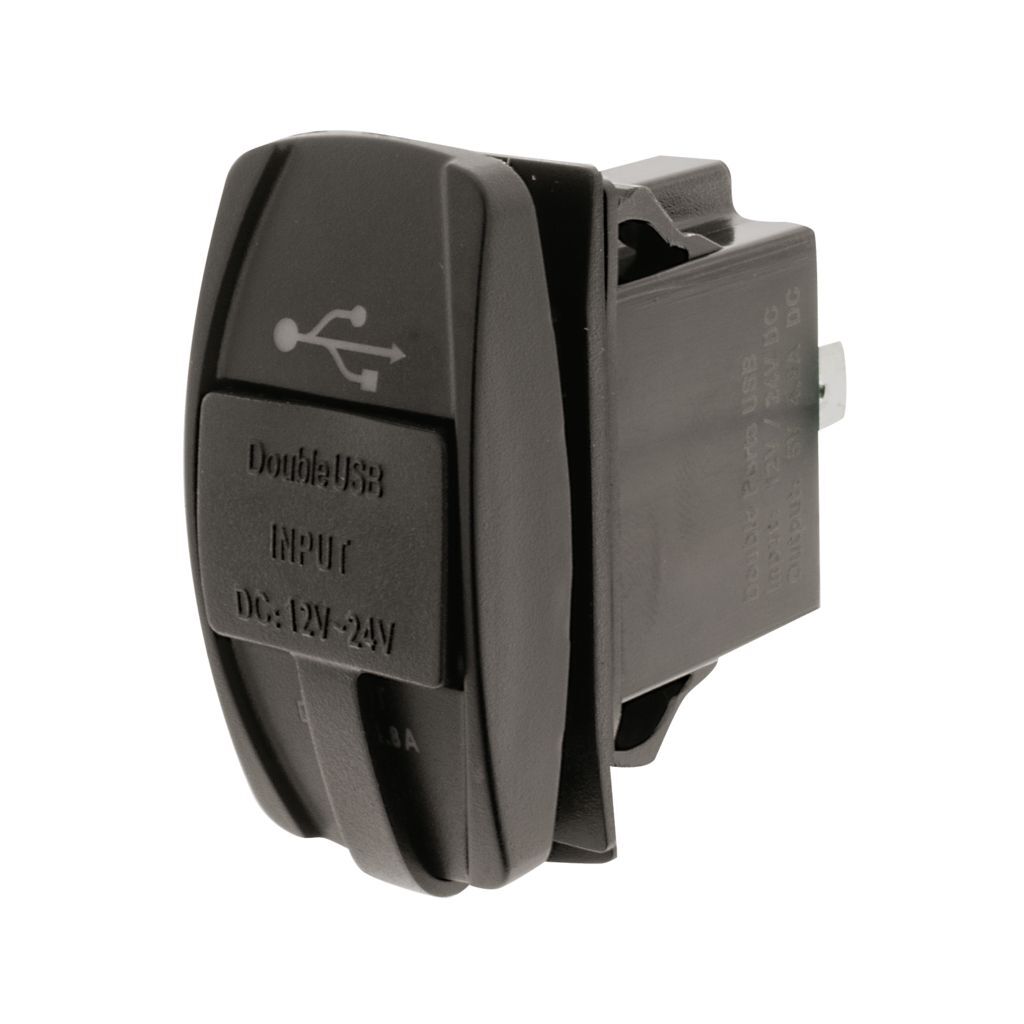 Switch Size Dual Usb
