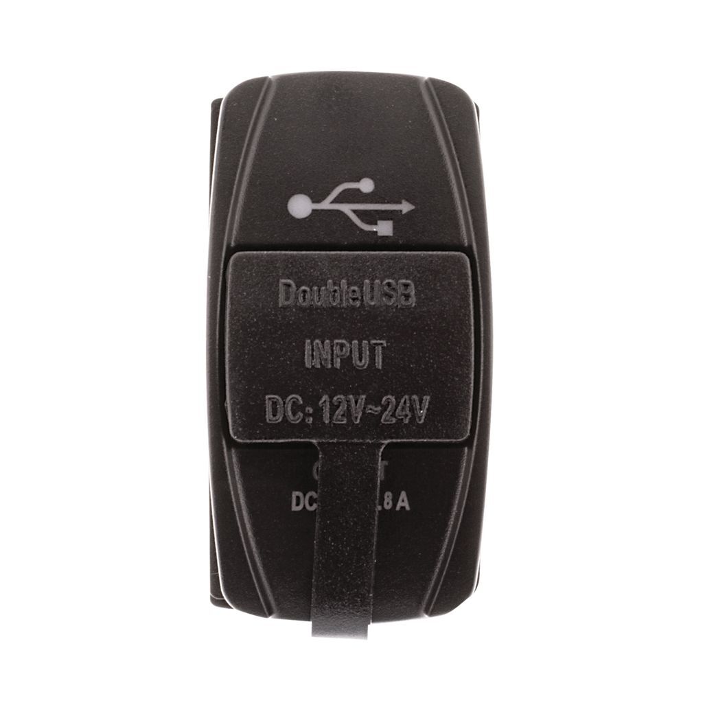 Switch Size Dual Usb