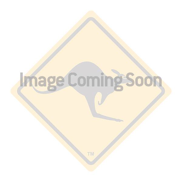 Replacement HID Bulb RM and RMDL 50W 4200K (Single)
